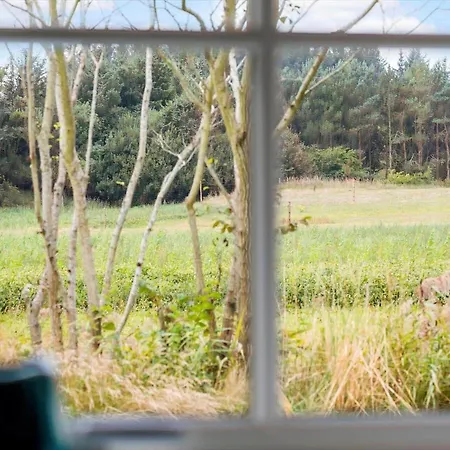 Vakantiehuis 459-snedsted-istrupvej-48