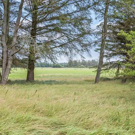 Vakantiehuis 459-snedsted-istrupvej-48